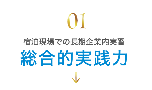 総合的実践力
