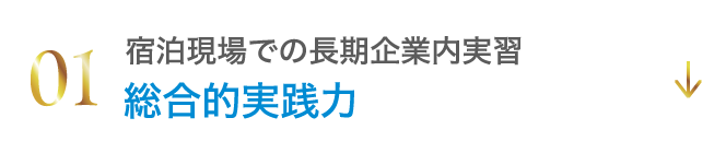 総合的実践力