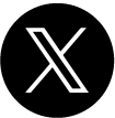 公式X