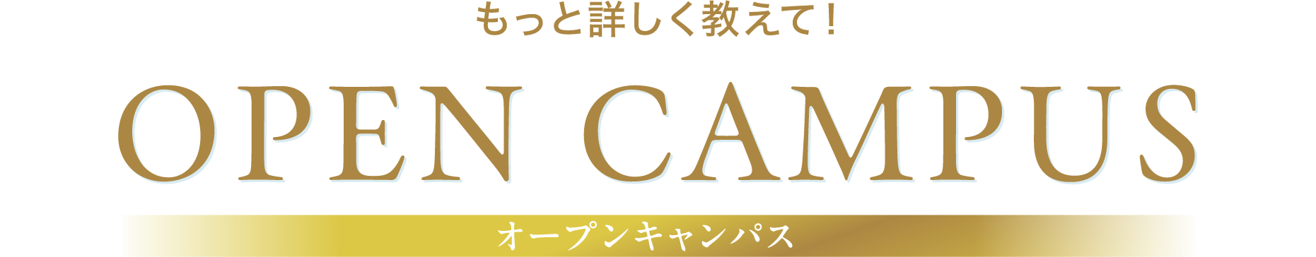 オープンキャンバス