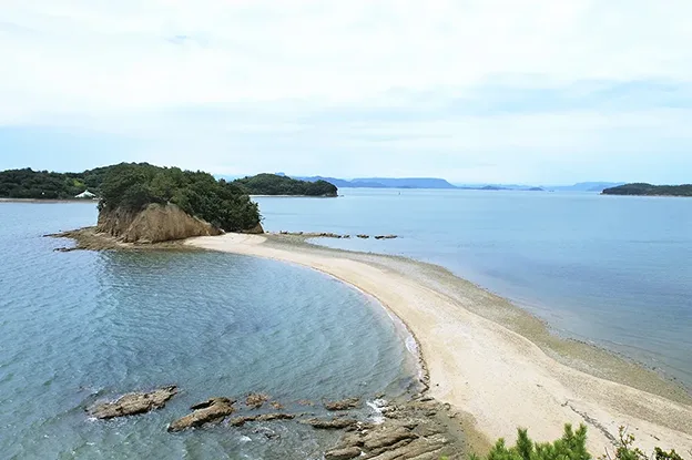 天使の散歩道