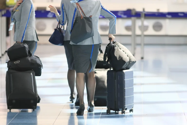 旅行業界の今後は明るい？最新動向と将来性を徹底分析！観光の仕事で活躍するための進路選択ガイド